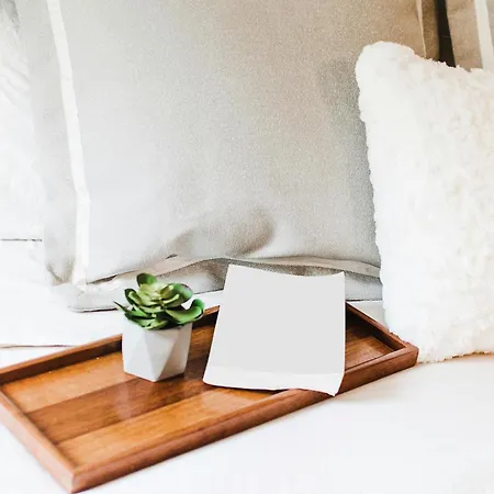 Skylight With Free Light Breakfast! Lucan