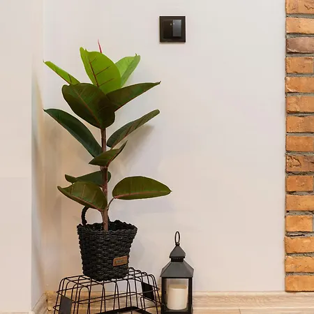 Bed & Breakfast Skylight Room! *