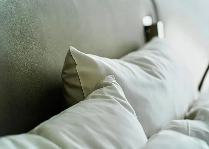 Skylight Room! B&B *