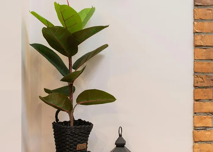 Frühstückspension Skylight Room! *